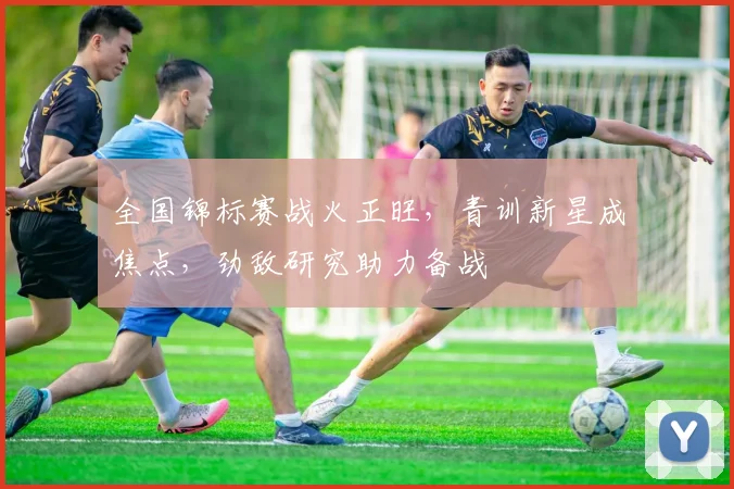 全国锦标赛战火正旺，青训新星成焦点，劲敌研究助力备战 - 中国体彩网精选
