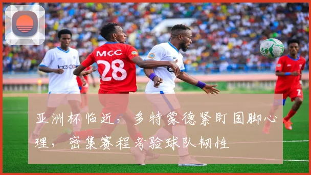 亚洲杯临近,多特蒙德紧盯国脚心理,密集赛程考验球队韧性 - 中国体彩网推荐